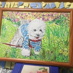 ビションフリーゼ オイルクレヨン A4 