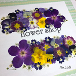 ♡new♡ 送料無料！¥1360 ♡たっぷり押し花セット♡
