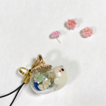 送料込み☆アザラシガラスドーム