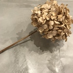 no.E ドライフラワー 紫陽花