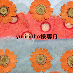 yuririnho様専用
