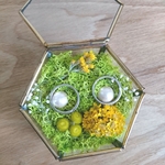 再販   Yellow  natural  ring  pillow