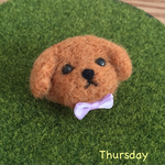 羊毛フェルト＊トイプードルのプローチ