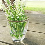 人気♡ベロニカグラス フラワーアレンジ、ミニブーケハーバリウム102401