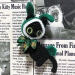 オーダー品☆kageyuki様【送料無料】*クリスマス☆うさぎのフードの黒猫*あみぐるみ