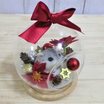 小さなクリスマスのハムリウム（ジャンガリアンハムスター）