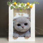 羊毛フェルト 壁掛け窓ねこ＊スコティッシュフォールドこねこ