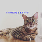 hisako5237さま専用ページ