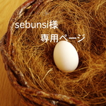 sebunsi様専用ページ