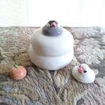 文鳥の鏡餅