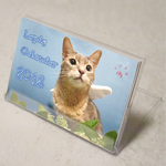 猫写真卓上カレンダー2018年