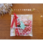 🎄クリスマス特別価格set③🎄