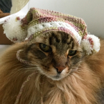 ポンポン帽子
