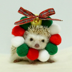 ぽんぽんらいおんクリスマスバージョン