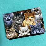 ポケットティッシュケース 猫軍団😼