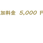 オーダー追加料金 5,000 円