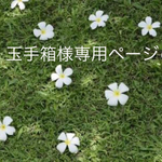 玉手箱様専用ページです
