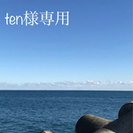  天然シーグラスten様専用808