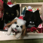 kaomaimai様ご予約リクエスト品