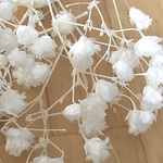 かすみ草 ホワイト・オーバータイム少量