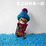 羊毛フェルト 猫 置物 キジトラ スコティッシュフォールド はーいタッチ