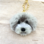 【  ai_0125_kina 様専用】 オーダーメイド チャーム