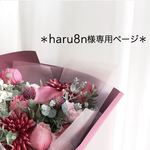 haru8n様専用ページ
