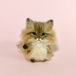 ミニちびちょこんとお座りチンチラゴールデンちゃん♡