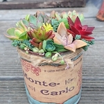 【送料込】リメイク缶寄せ植え★このまま発送★多肉★多肉植物★寄せ植え★