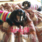 猫筥チャンズ🐱famey様専用