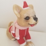 ☆チワワちゃんとクリスマス
