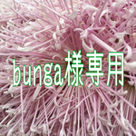 gunga様 専用 リース&スワッグ