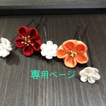 専用ページ
