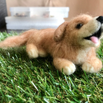 ゴールデンレトリバー