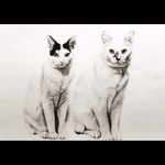 肖像画(鉛筆画)描きます