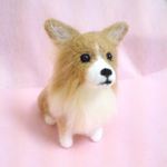 はるきど様　専用ページ　コーギー