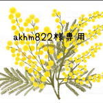 akhm822様専用ページ