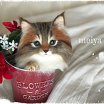 mikekuma様リクエスト品☆バケツにゃんこ☆彡クリスマスバージョン☆メインクーン