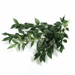 Flower蓮華様・専用ページ
