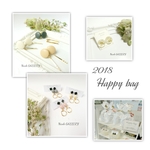 2018 Happy bag (福袋)