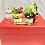 多肉柴犬365日よろしくワン🐶