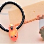 コガネメキシコインコ