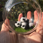 ガラスドーム＊子パンダ