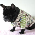 フレンチブルドック服　ちゃんちやんこ風 恐竜くん　白