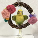 ※専用ページです※tama様のセキセイインコちゃん、ワキワキポーズです♪羊毛フェルト