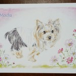 【kinokocream様オーダー品】愛犬イラスト