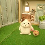 羊毛フェルト  お散歩猫さん🐱