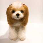 🐶🏠わんちゃん🏠🐶