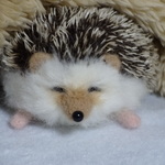 再販×2【受注製作】羊毛フェルト　べた～っと居眠りハリネズミ☆