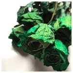 【ドライフラワー】バラ　薔薇　グリーン　花材　ドーム　レジン　ハーバリウムにおすすめ